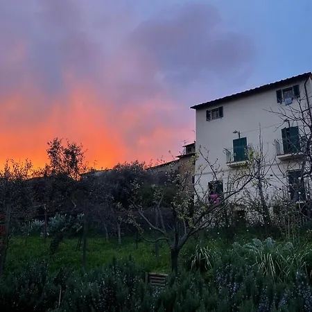 Lejlighed La Casa Dei Fichi