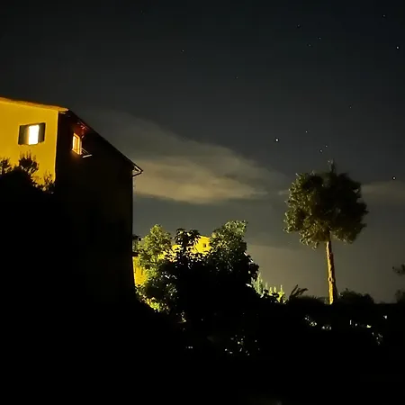 La Casa Dei Fichi *