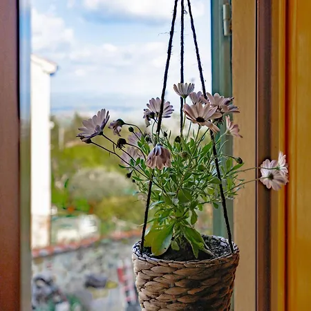 Lejlighed La Casa Dei Fichi Gambassi Terme